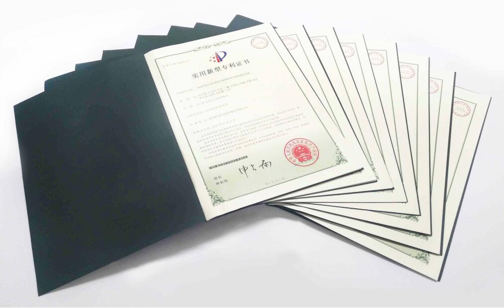 热烈祝贺多米荣获国家知识产权局多项专利证书